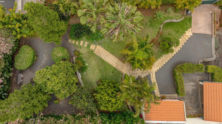 Quinta T3 para Venda em São Martinho Foto 20