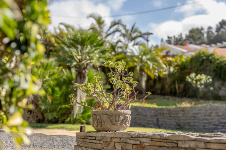 Quinta T3 para Venda em São Martinho Foto 12