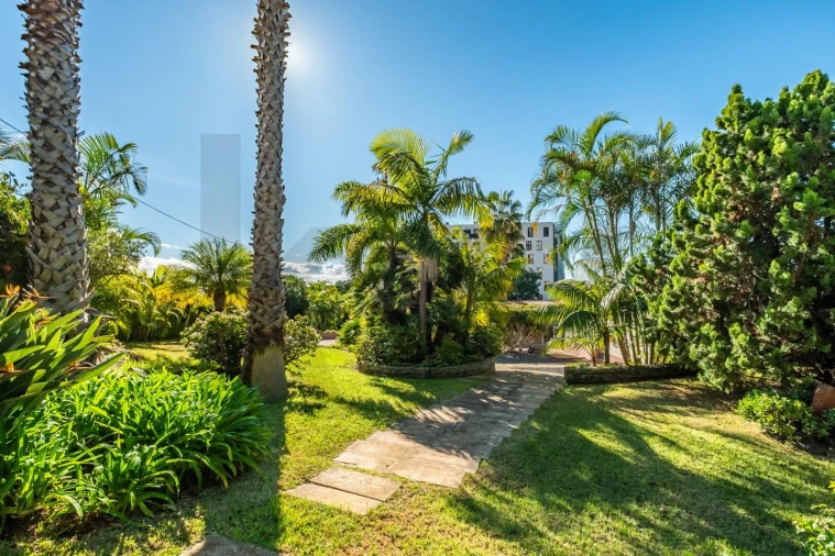 Quinta T3 para Venda em São Martinho Foto 3