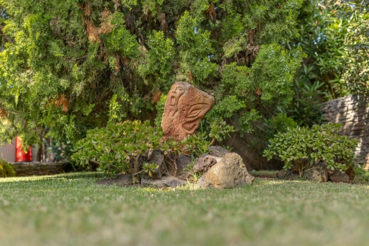 Quinta T3 para Venda em São Martinho Foto 14