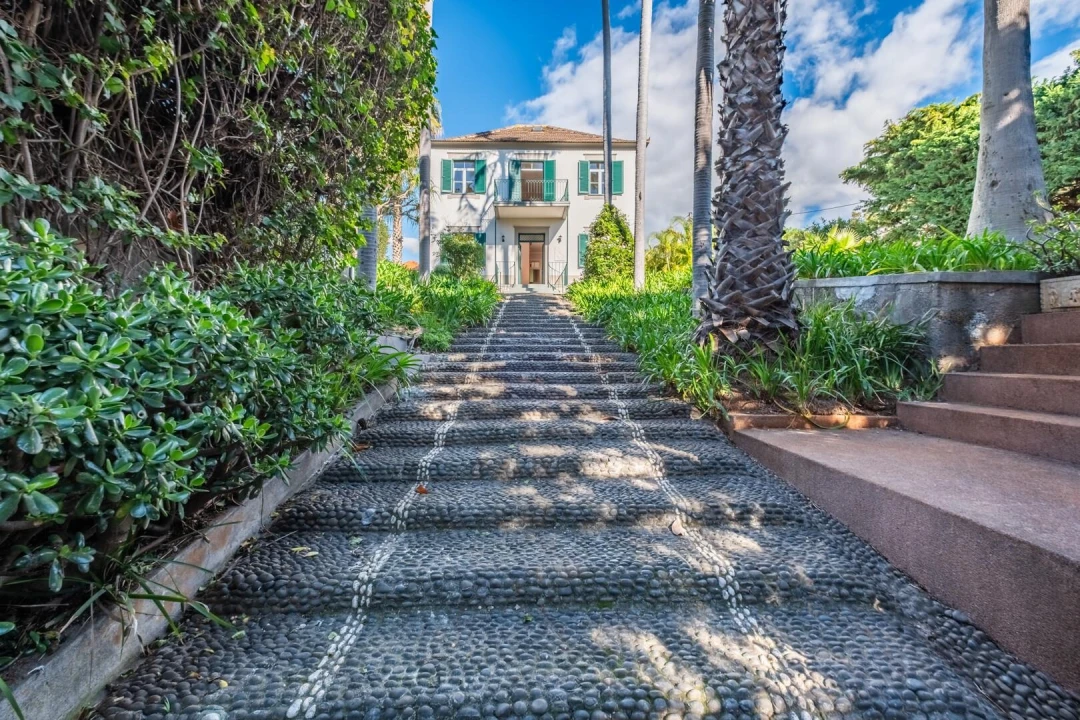 Quinta T3 para Venda em São Martinho Foto 15