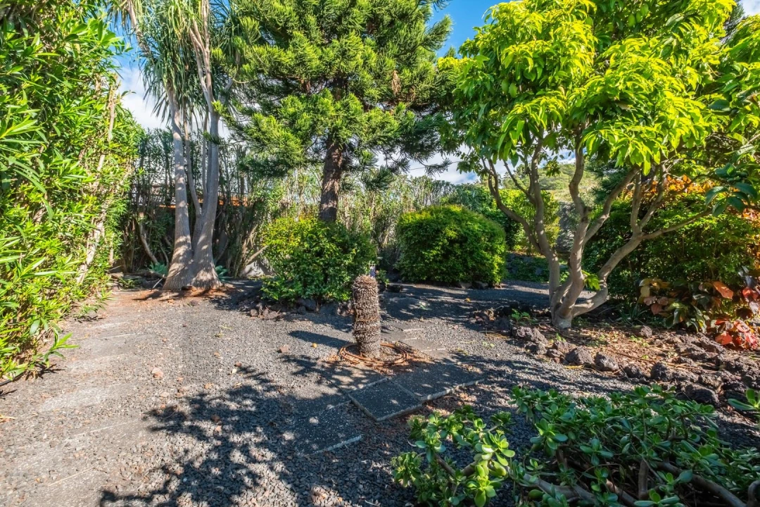 Quinta T3 para Venda em São Martinho Foto 7