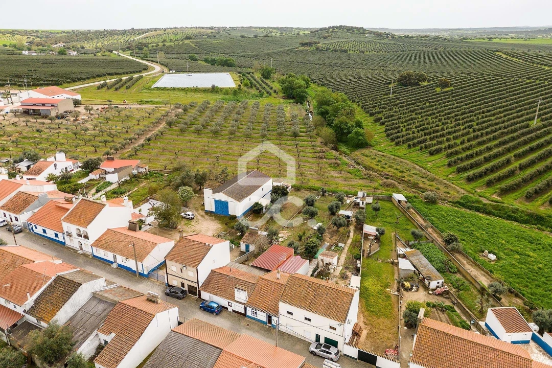 Moradia T2 para Venda em São Saturnino Foto 29