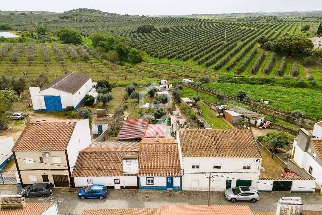 Moradia T2 para Venda em São Saturnino Foto 31
