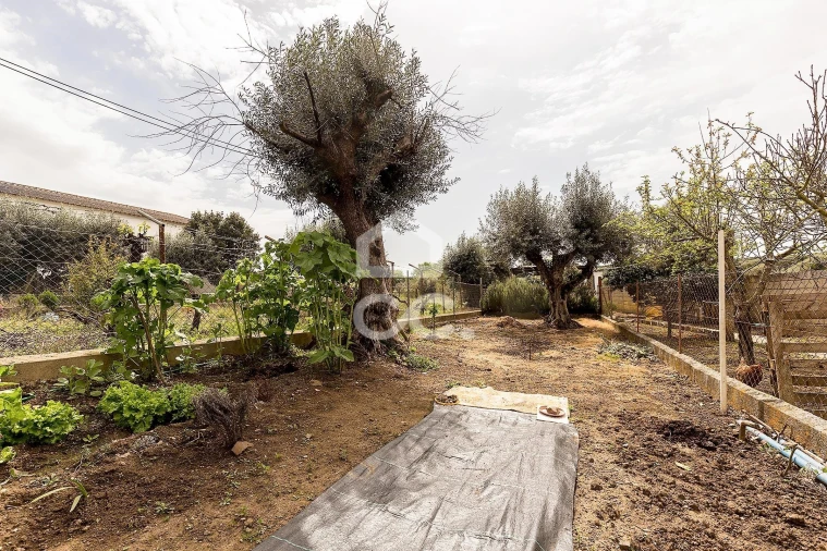 Moradia T2 para Venda em São Saturnino Foto 16