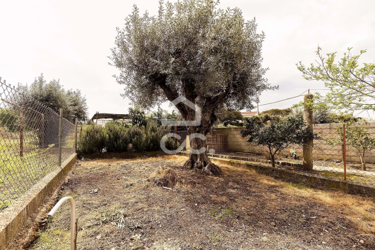 Moradia T2 para Venda em São Saturnino Foto 21