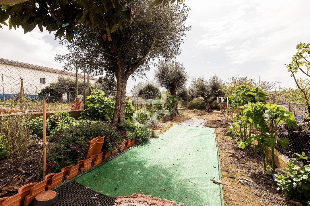 Moradia T2 para Venda em São Saturnino Foto 15