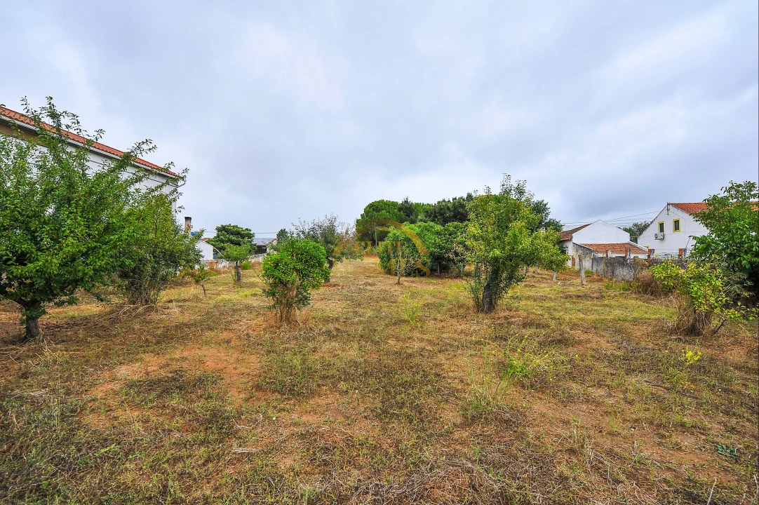 Quinta T6 para Venda em Ota Foto 46