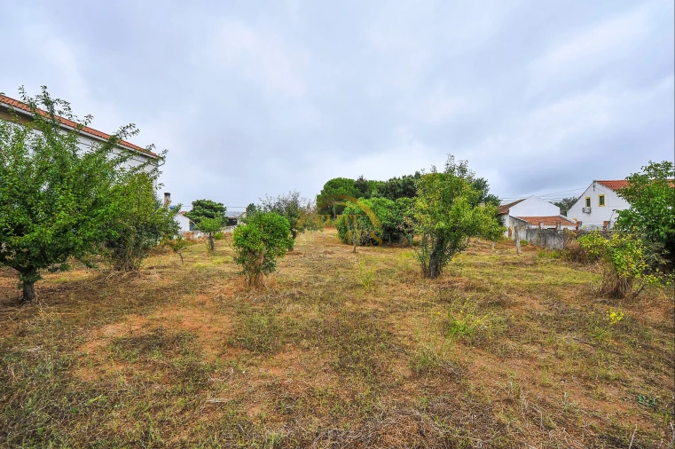 Quinta T6 para Venda em Ota Foto 46