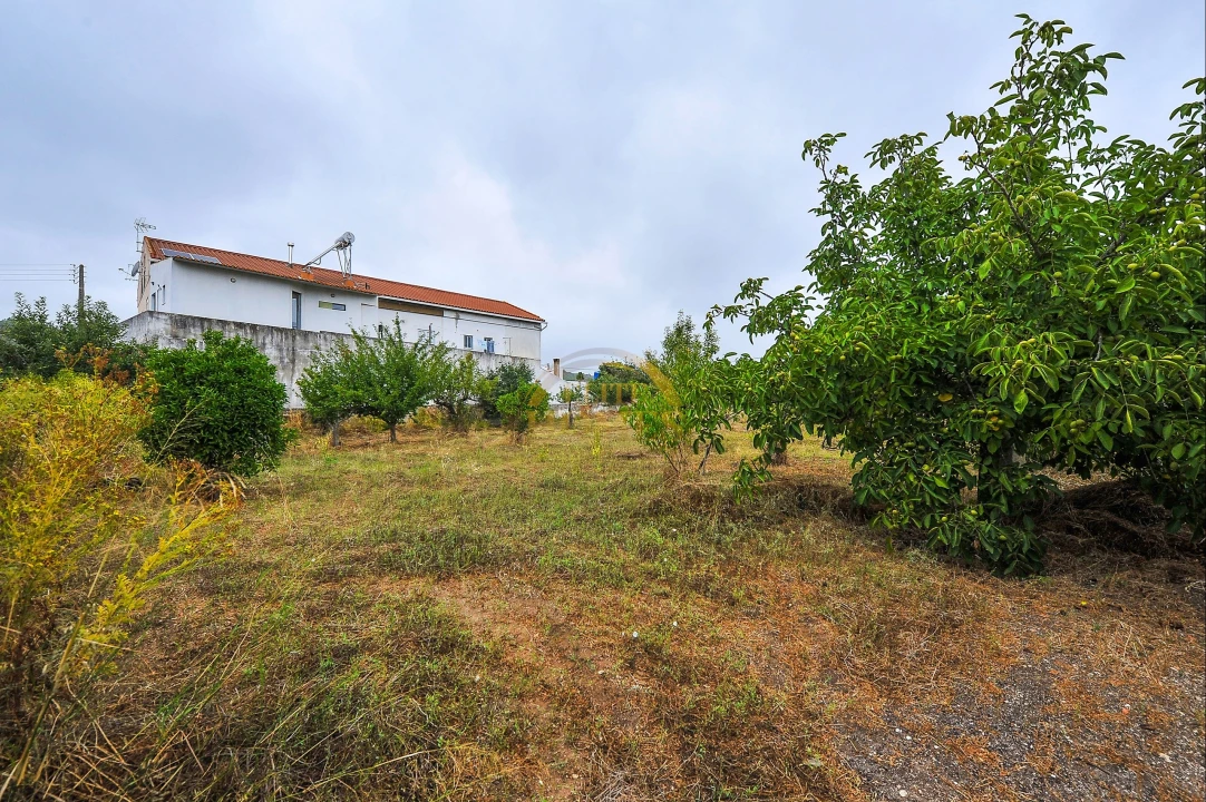 Quinta T6 para Venda em Ota Foto 45