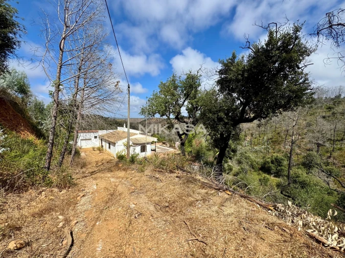 Moradia T4 para Venda em Odeceixe Foto 31