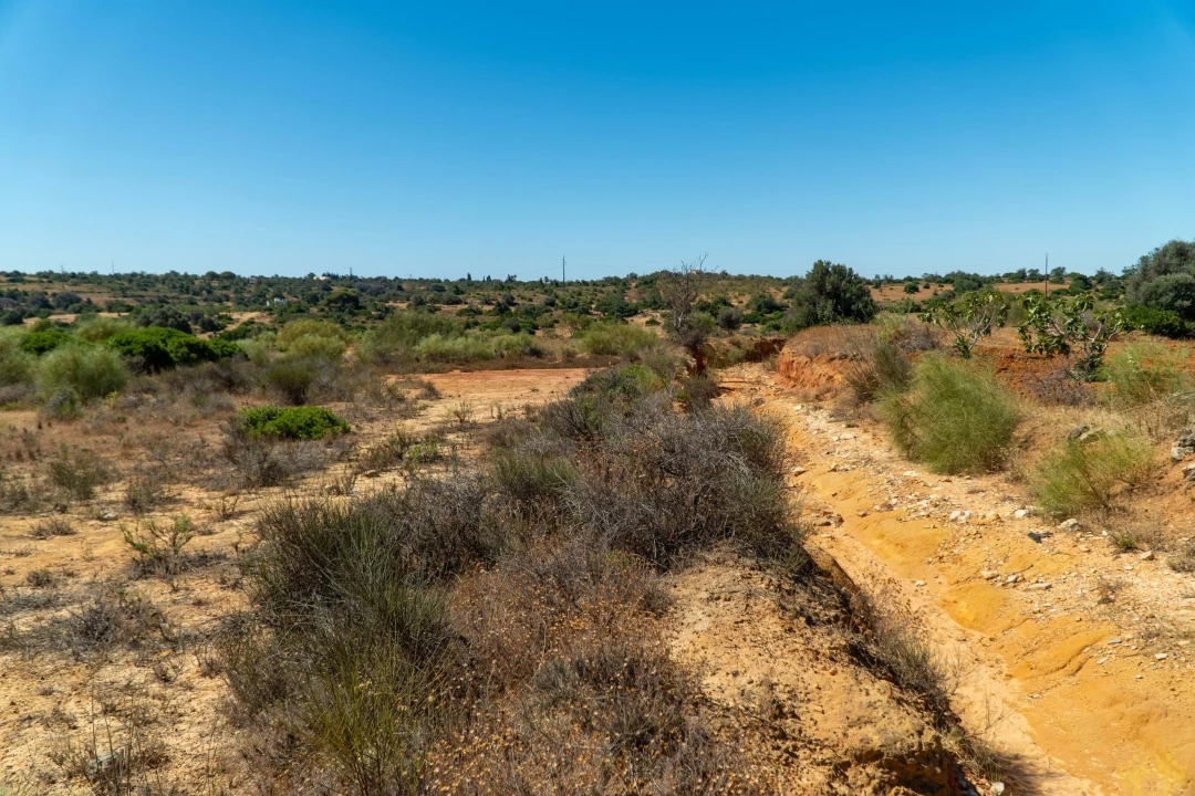 Terreno Agricola ou Rústico para Venda em São Silvestre Foto 7
