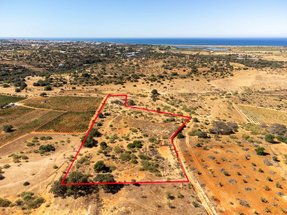 Terreno Agricola ou Rústico para Venda em São Silvestre Foto 2
