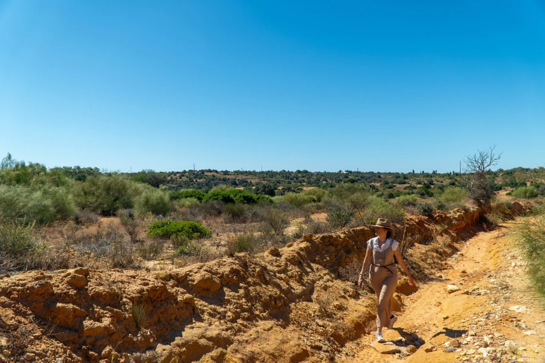 Terreno Agricola ou Rústico para Venda em São Silvestre Foto 9