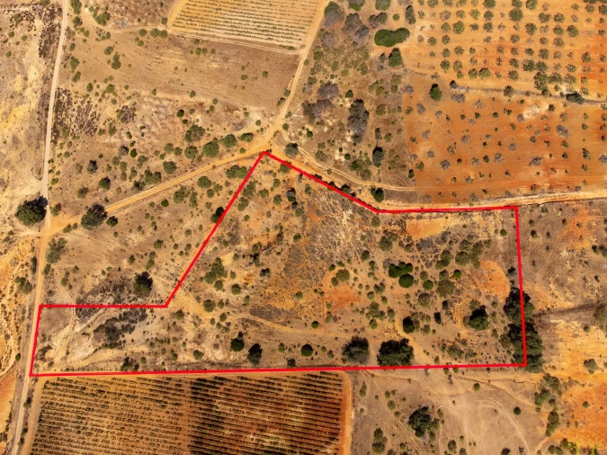 Terreno Agricola ou Rústico para Venda em São Silvestre Foto 17