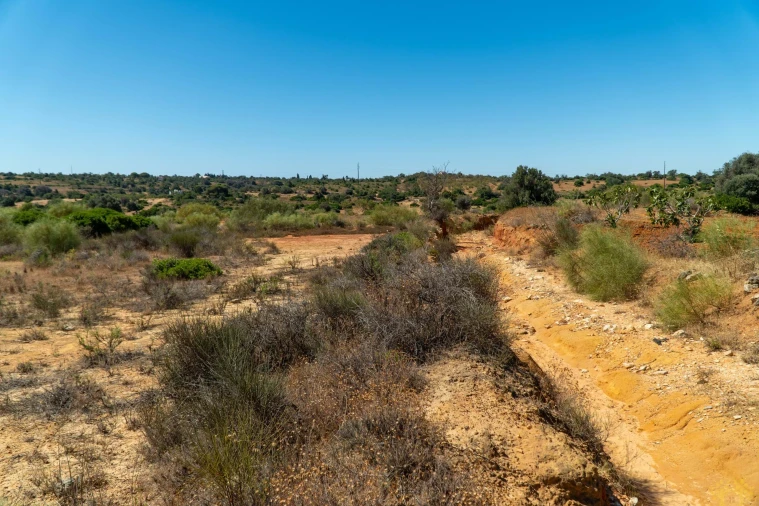 Terreno Agricola ou Rústico para Venda em São Silvestre Foto 7