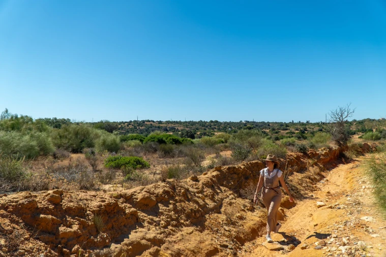 Terreno Agricola ou Rústico para Venda em São Silvestre Foto 9