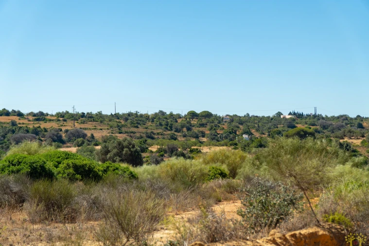 Terreno Agricola ou Rústico para Venda em São Silvestre Foto 5