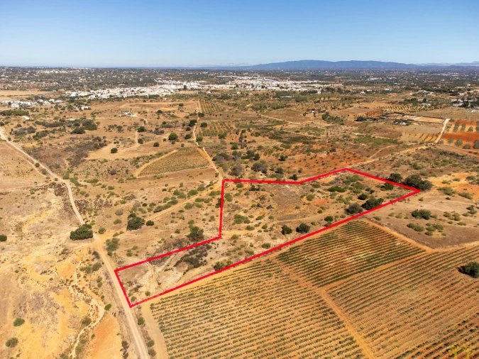 Terreno Agricola ou Rústico para Venda em São Silvestre Foto 16