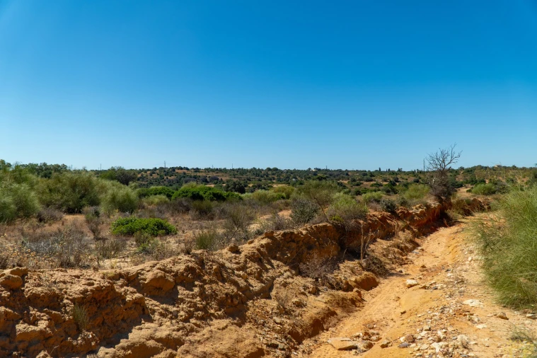 Terreno Agricola ou Rústico para Venda em São Silvestre Foto 8