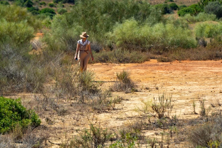 Terreno Agricola ou Rústico para Venda em São Silvestre Foto 4