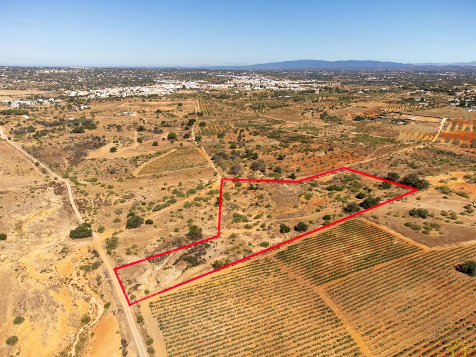 Terreno Agricola ou Rústico para Venda em São Silvestre Foto 16