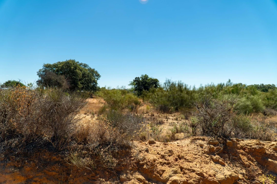 Terreno Agricola ou Rústico para Venda em São Silvestre Foto 11