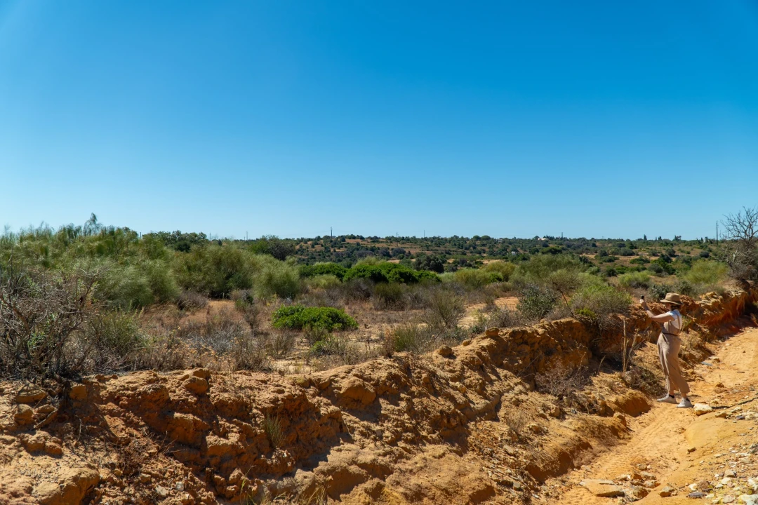 Terreno Agricola ou Rústico para Venda em São Silvestre Foto 10