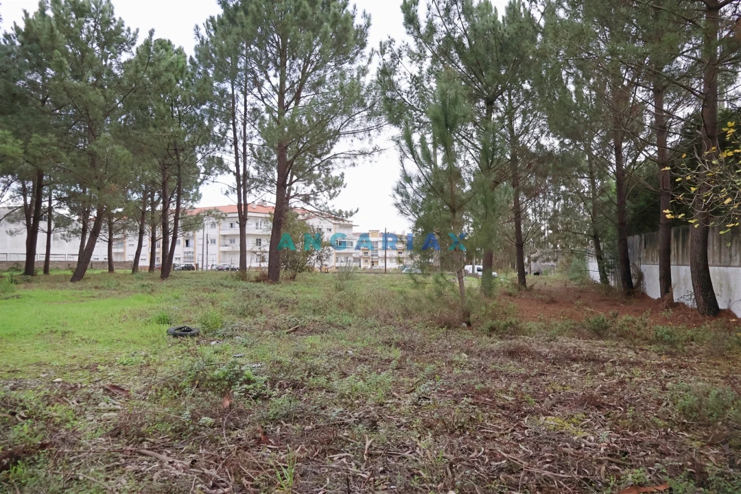 Terreno para Venda em Marinha Grande Foto 11