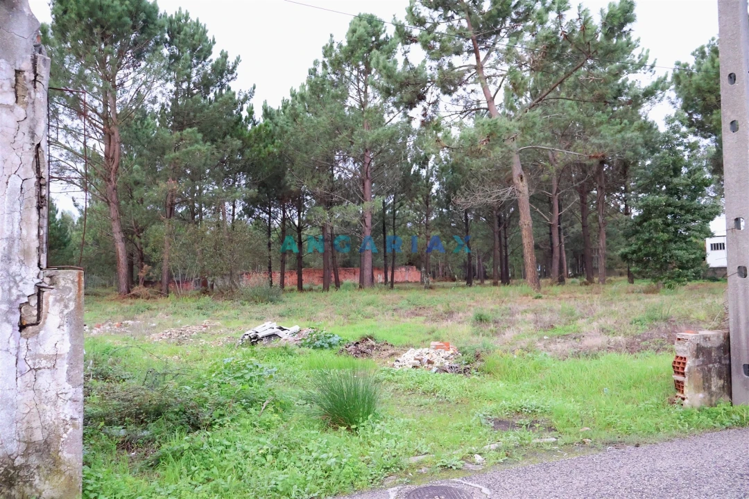 Terreno para Venda em Marinha Grande Foto 5