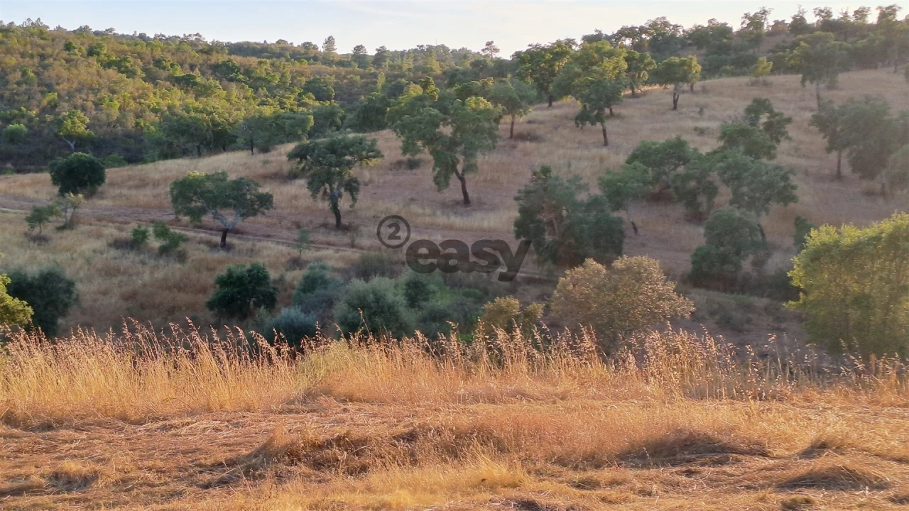 Terreno Agricola ou Rústico para Venda em Amieira e Alqueva Foto 2