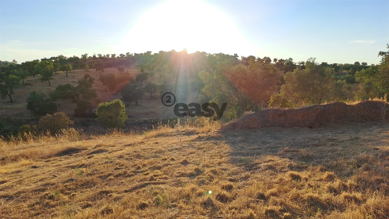 Terreno Agricola ou Rústico para Venda em Amieira e Alqueva Foto 14