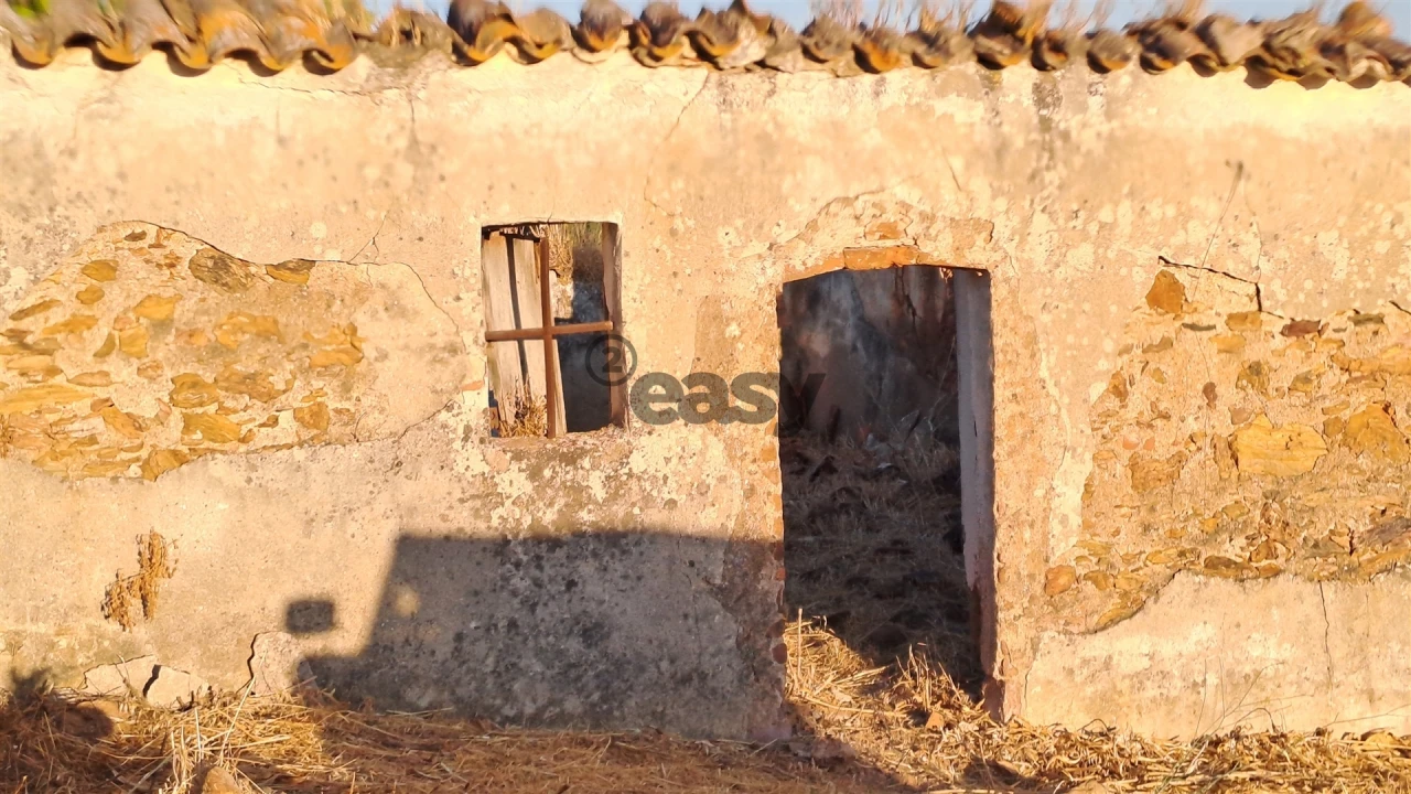 Terreno Agricola ou Rústico para Venda em Amieira e Alqueva Foto 9