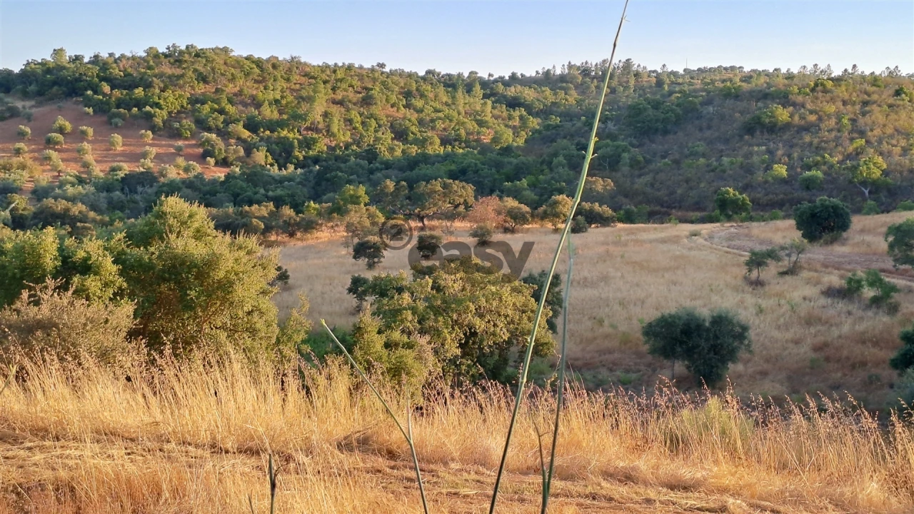 Terreno Agricola ou Rústico para Venda em Amieira e Alqueva Foto 7