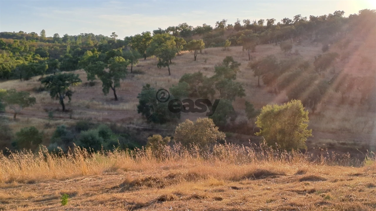 Terreno Agricola ou Rústico para Venda em Amieira e Alqueva Foto 13