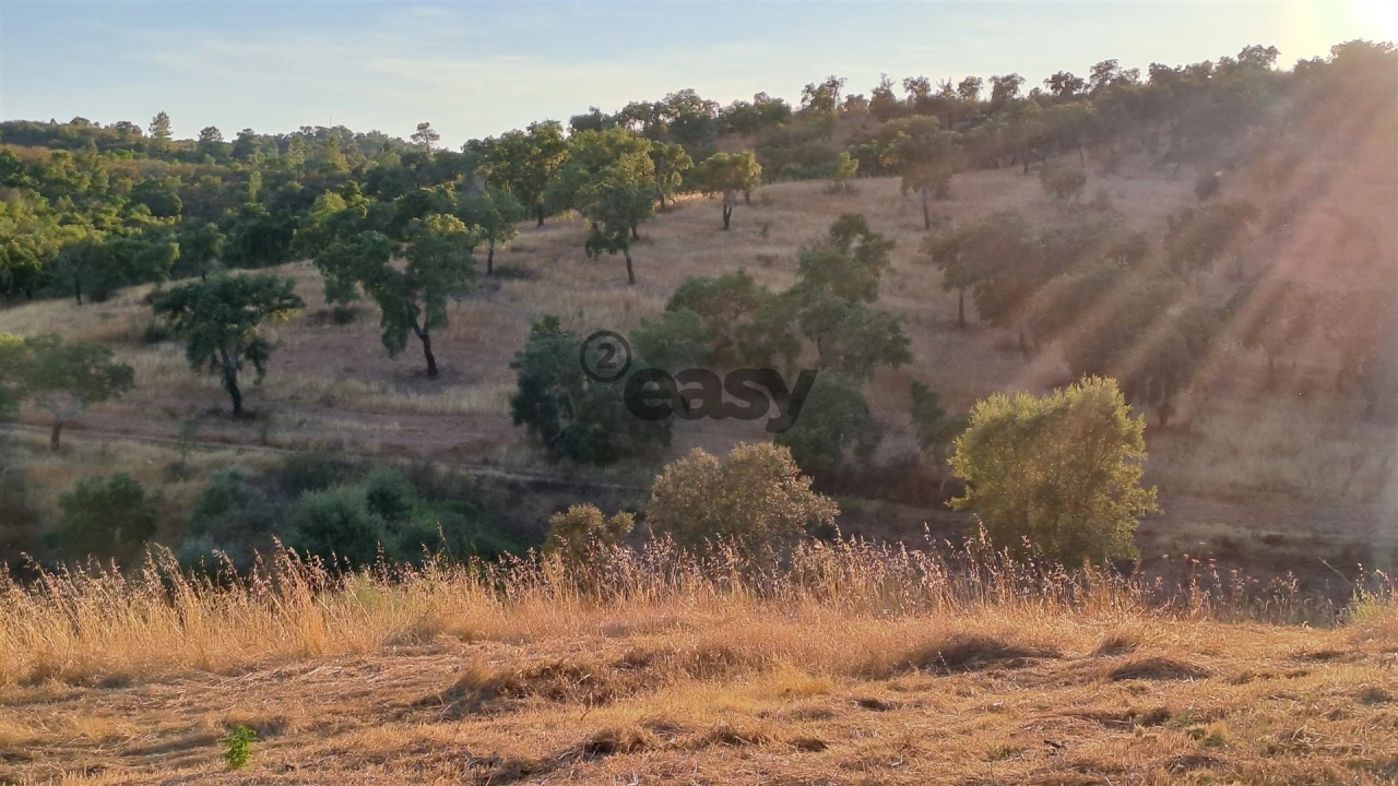 Terreno Agricola ou Rústico para Venda em Amieira e Alqueva Foto 12