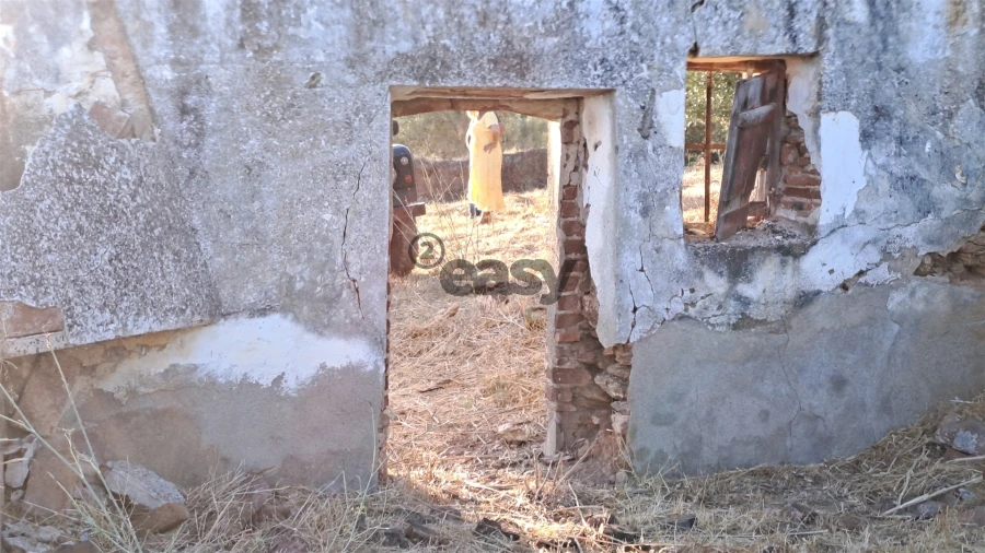 Terreno Agricola ou Rústico para Venda em Amieira e Alqueva Foto 10