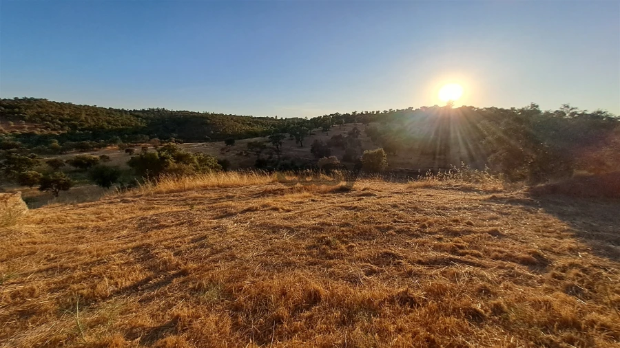 Terreno Agricola ou Rústico para Venda em Amieira e Alqueva Foto 3
