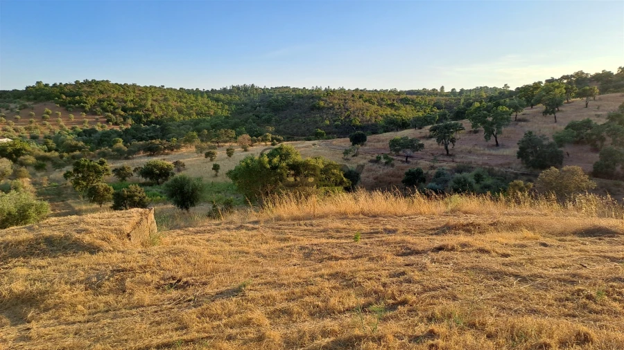 Terreno Agricola ou Rústico para Venda em Amieira e Alqueva Foto 1