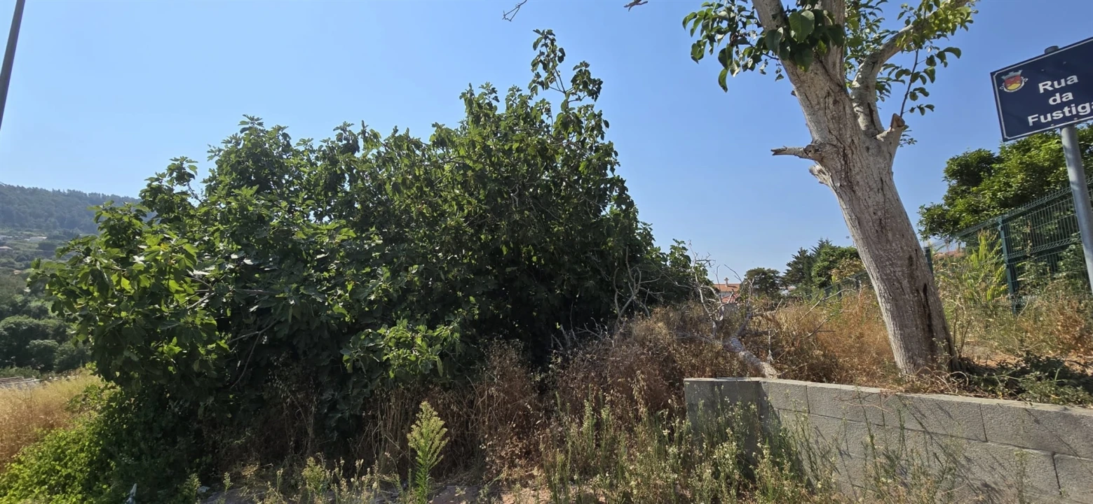 Terreno para Venda em Alhandra, São João dos Montes e Calhandriz Foto 7