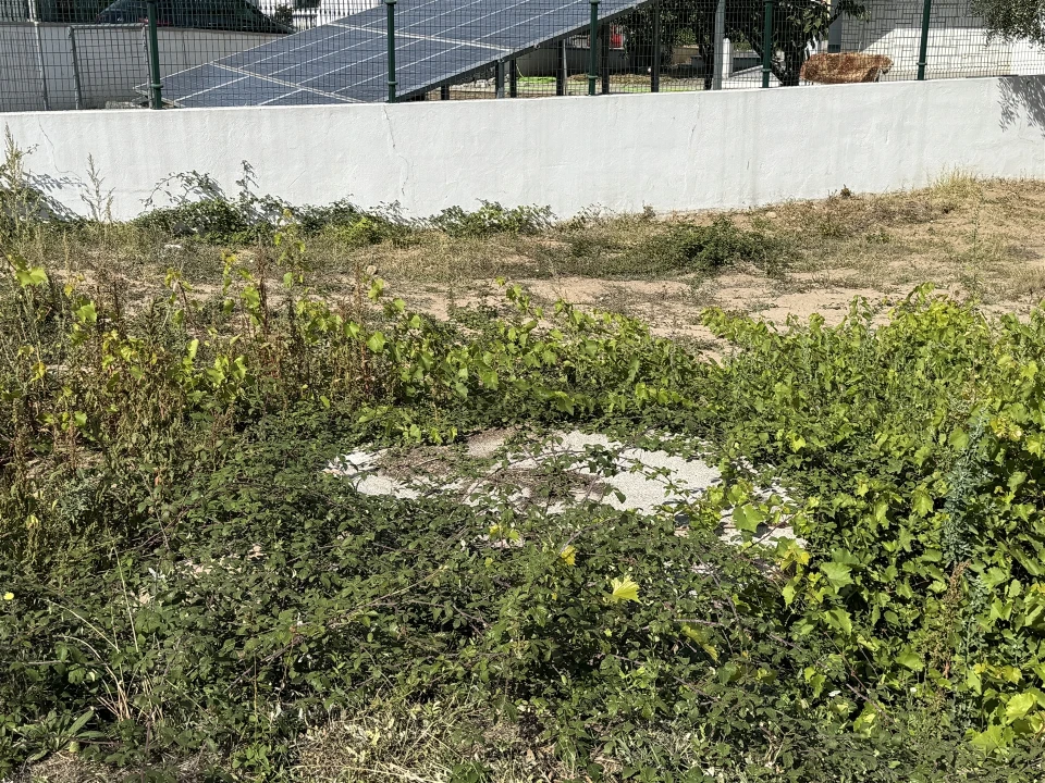 Terreno para Venda em Oliveira do Hospital e São Paio de Gramaços Foto 12
