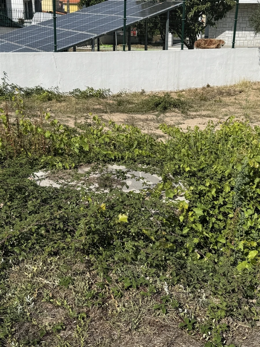 Terreno para Venda em Oliveira do Hospital e São Paio de Gramaços Foto 11