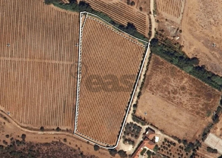 Terreno para Venda em Borba (Matriz) Foto 17