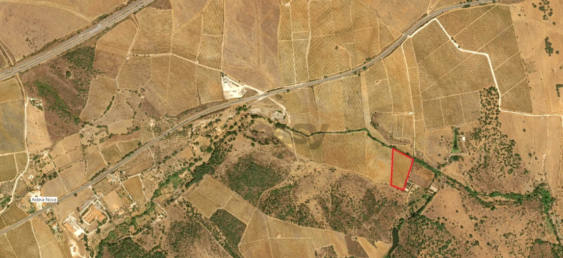 Terreno para Venda em Borba (Matriz) Foto 19