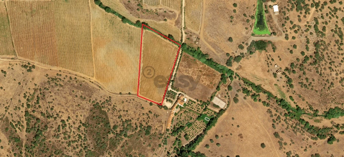 Terreno para Venda em Borba (Matriz) Foto 18