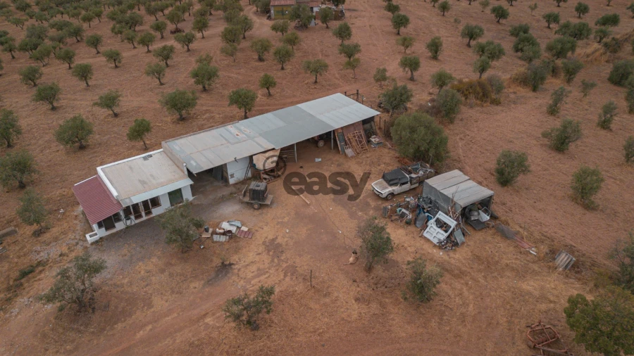 Terreno Agricola ou Rústico para Venda em Portel