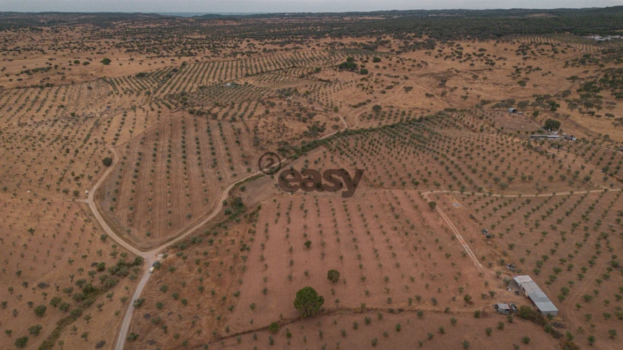 Terreno Agricola ou Rústico para Venda em Portel Foto 2
