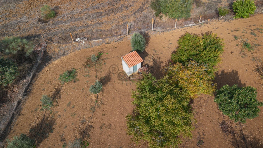 Moradia T2 para Venda em Selmes Foto 36