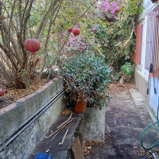 Moradia T6 para Venda em Castro Verde e Casével Foto 11