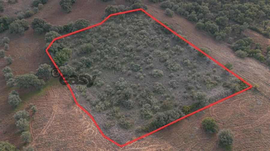 Terreno para Venda em Vila de Frades